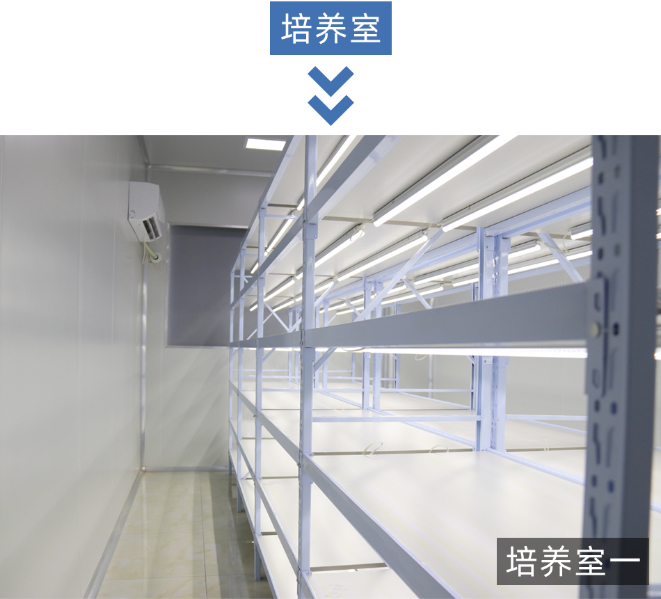 1662194534142895.jpg 紹興規劃案例_09.jpg