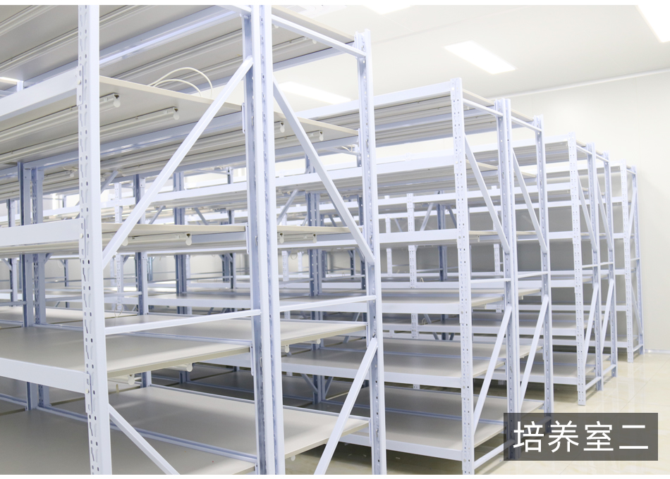 1662194544155156.jpg 紹興規劃案例_10.jpg