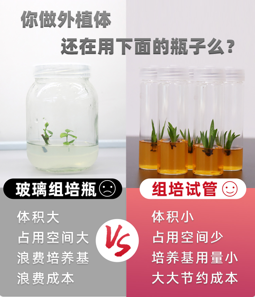 組培試管_02.jpg