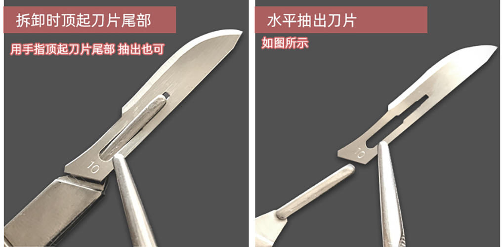 1662429481302611.jpg 接種刀詳情頁(yè)_10.jpg