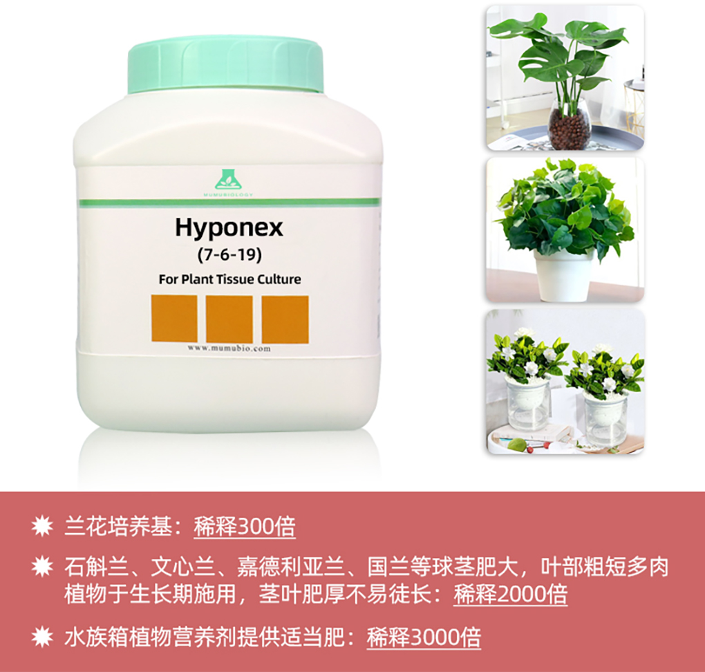 1662516614170826.jpg 花寶詳情頁(yè)_07.jpg