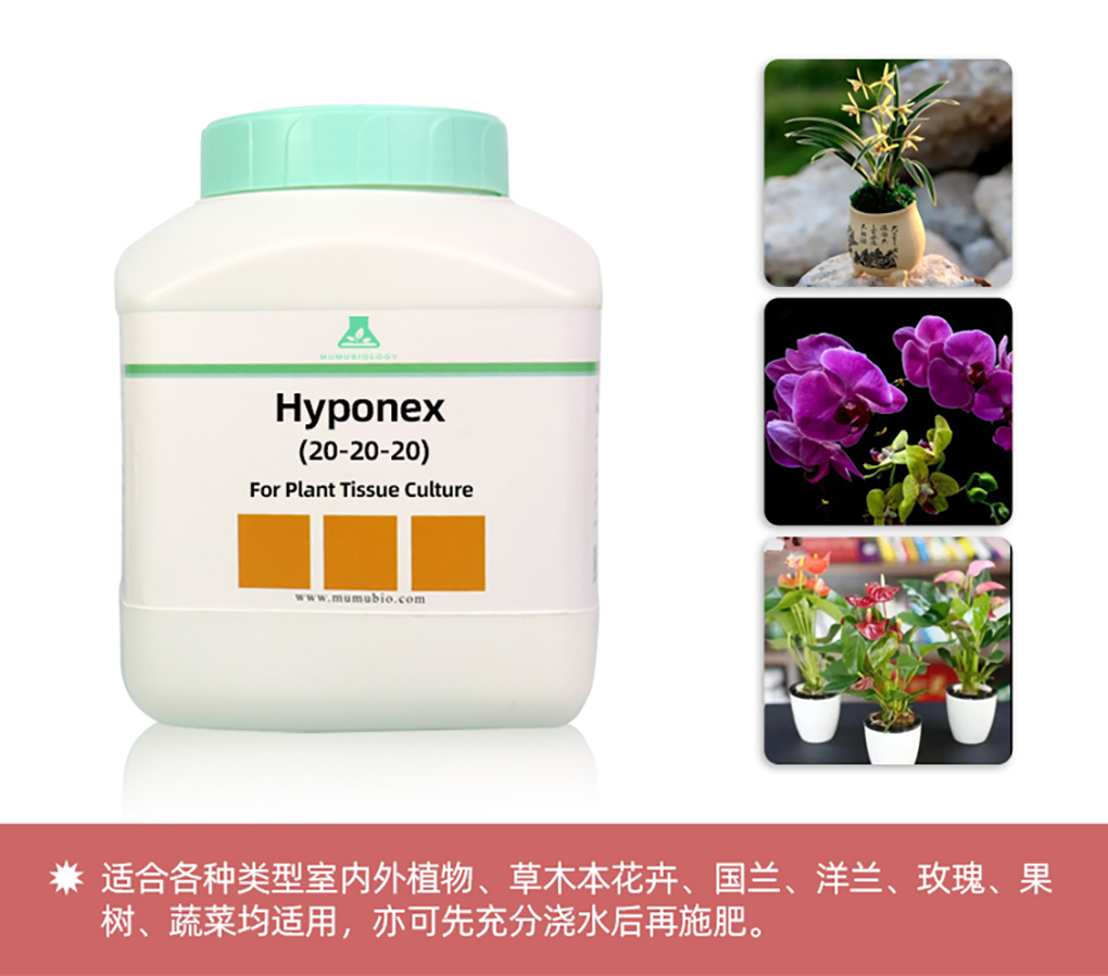 1662516618191456.jpg 花寶詳情頁(yè)_09.jpg