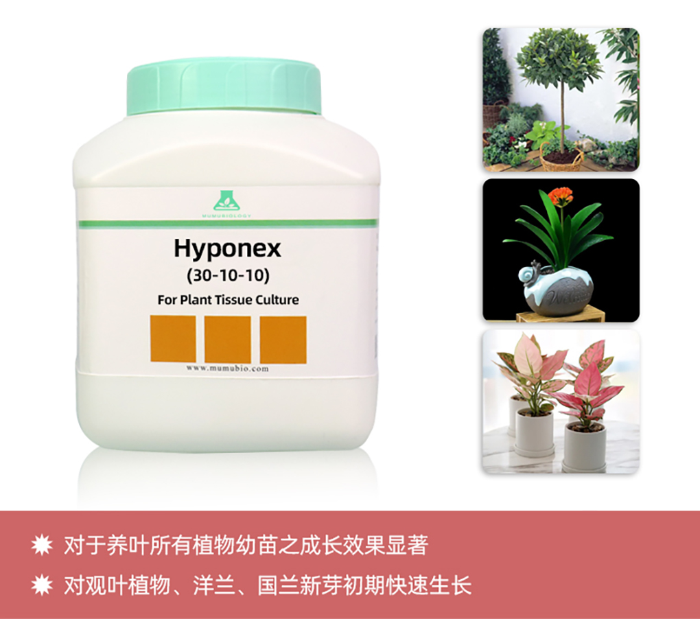 1662516631179441.jpg 花寶詳情頁(yè)_15.jpg