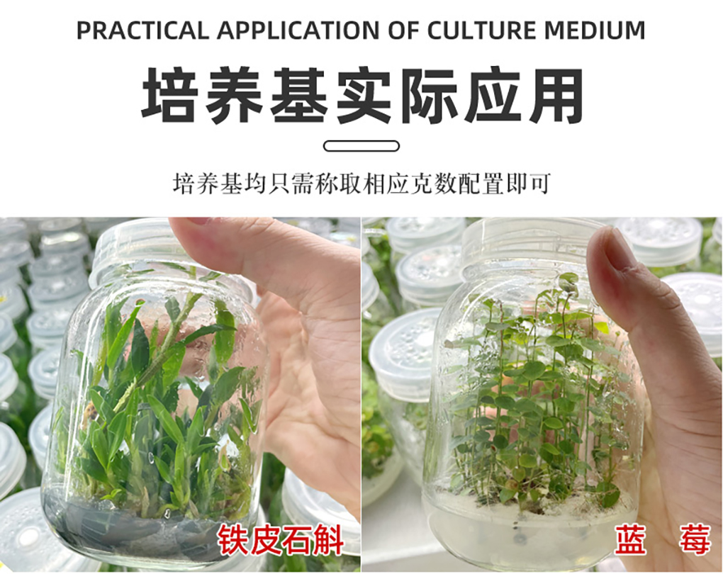 1662529250839364.jpg 培養基詳情頁(yè)_13.jpg