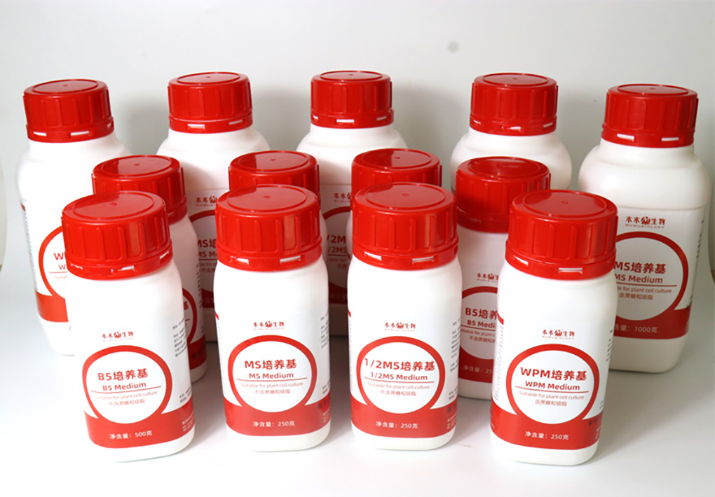 1662529261180473.jpg 培養基詳情頁(yè)_16.jpg