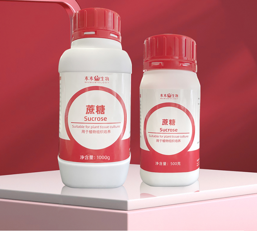 1662530352737441.jpg 蔗糖_02.jpg