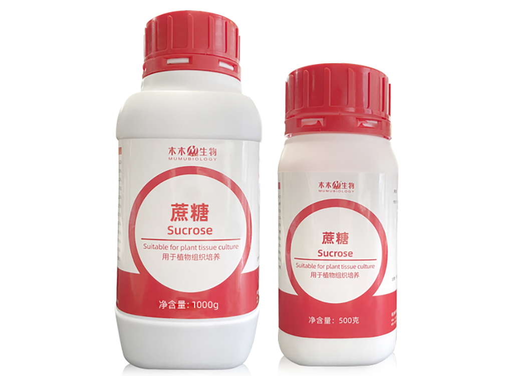 1662530359180691.jpg 蔗糖_05.jpg