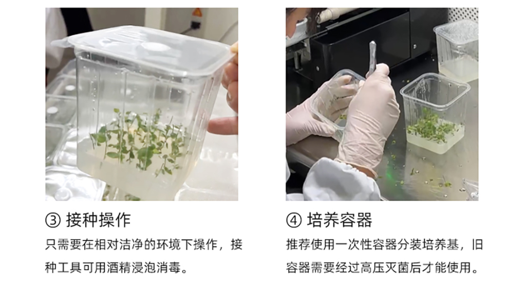 1662530497111137.jpg 植培凈詳情頁(yè)_06.jpg