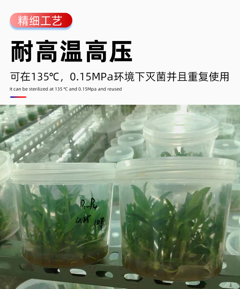 PP組培瓶_07.jpg