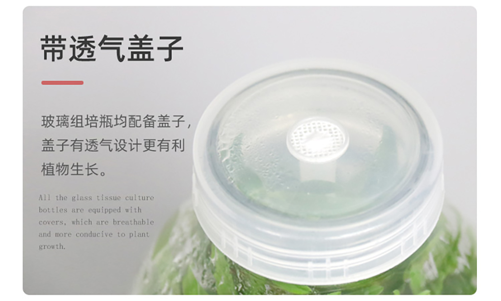 玻璃組培瓶_07.jpg