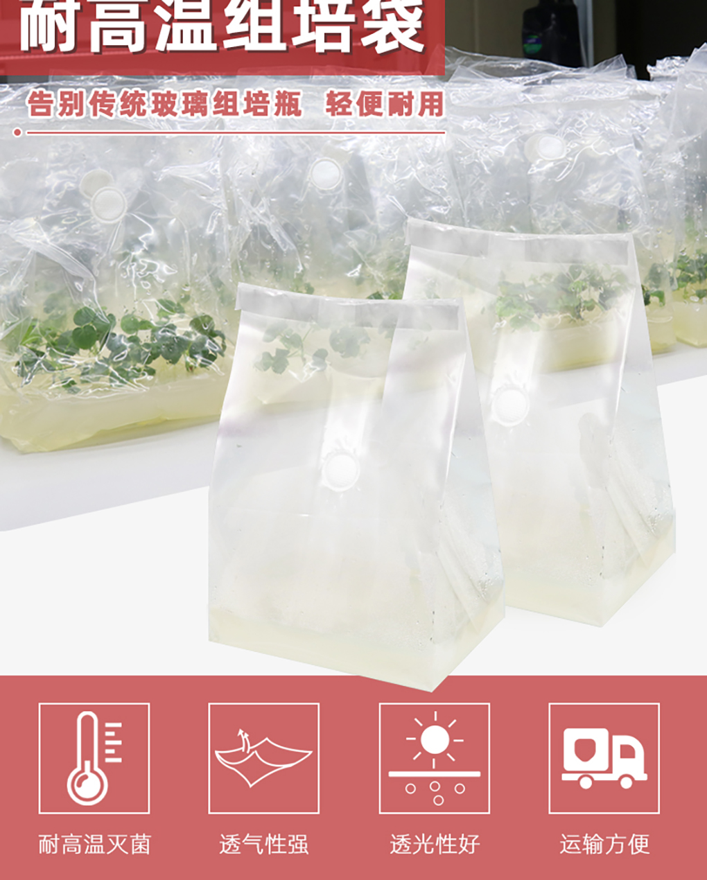 組培袋_02.jpg
