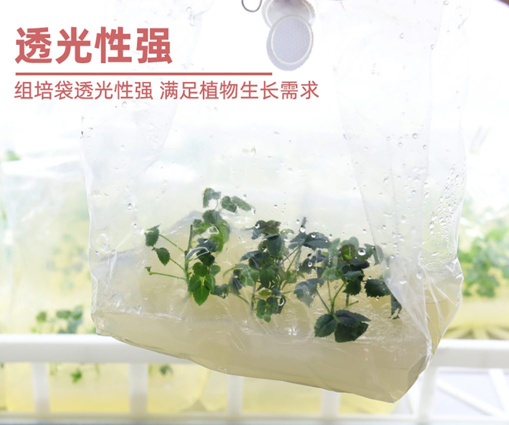 組培袋_09.jpg